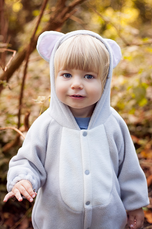 Bristol Family Photographer Gruffalo Children Autumn-8