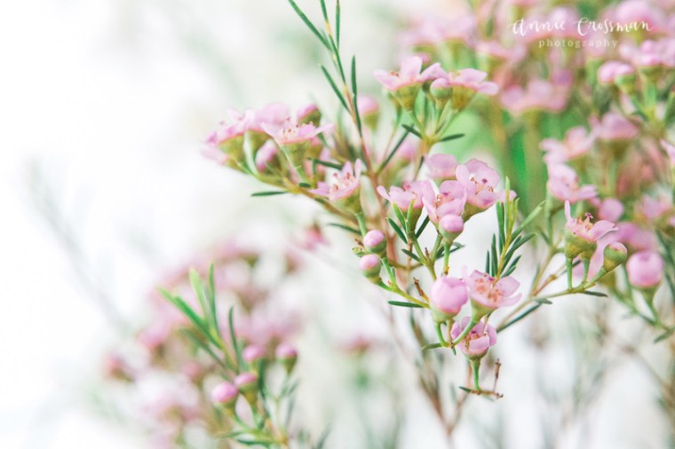 Bristol Wedding Annie Crossman Photography-6