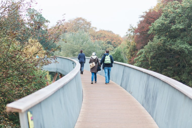 westonbirt-arboretum-proposal-engagement-photographer-annie-crossman-1