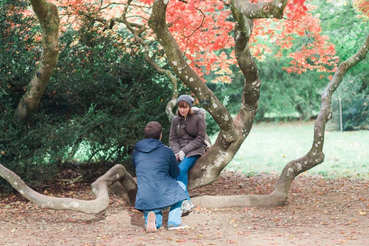 westonbirt-arboretum-proposal-engagement-photographer-annie-crossman-6